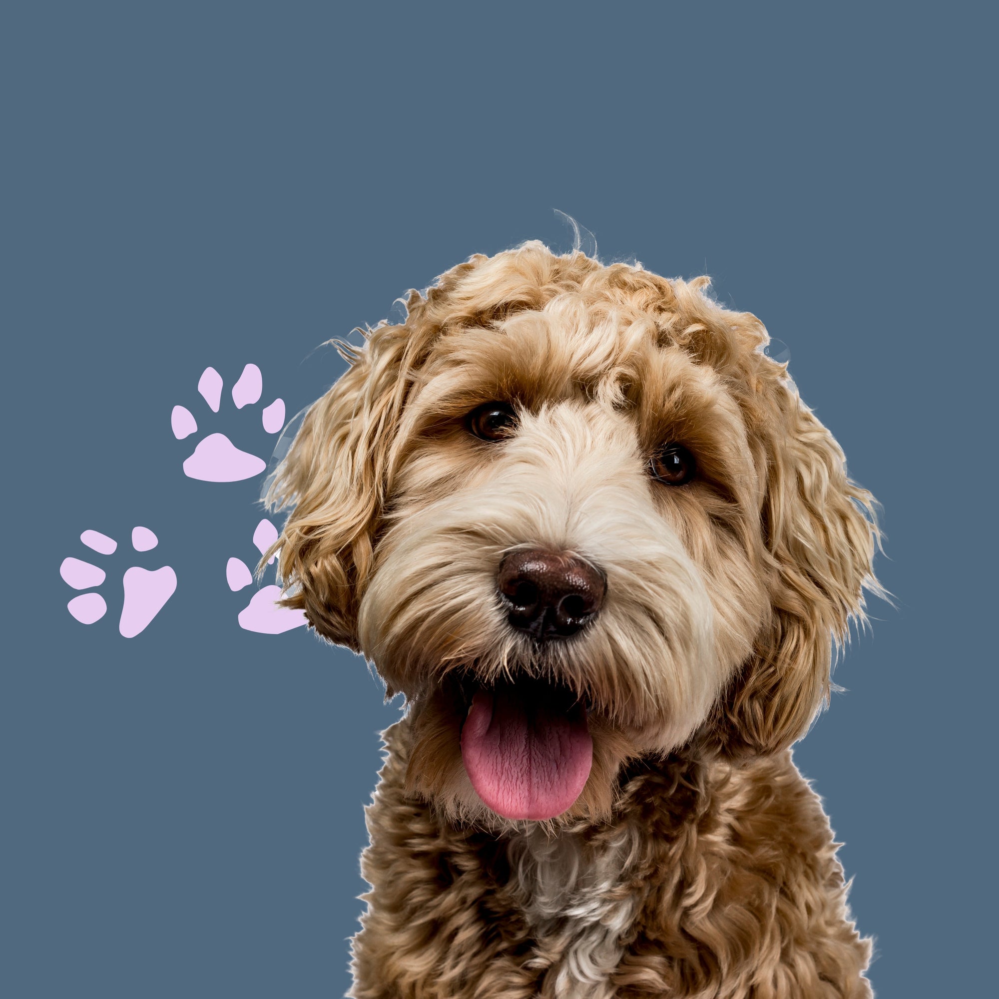 All About Our Conditioning Complex