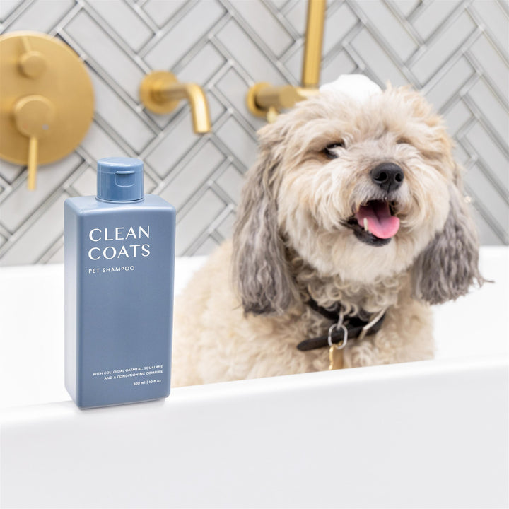 Why Colloidal Oatmeal is Good for Dogs