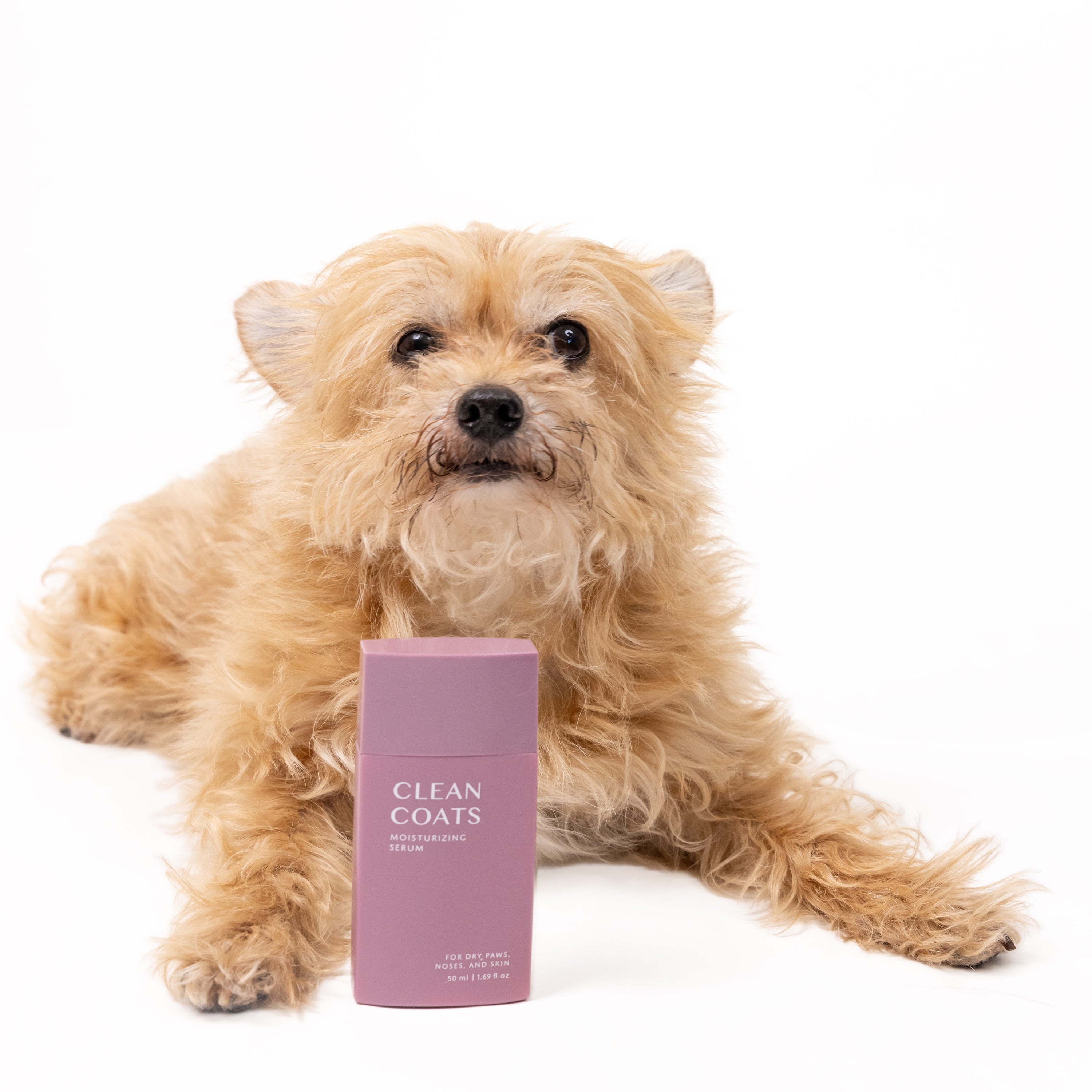 Dog Paw & Nose Moisturizing Serum – Clean Coats